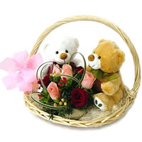 2 Teddies (6 inches each) with 8 pink and red roses in a Basket