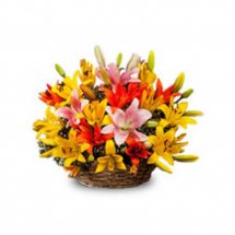 Coloured Lilies in a basket