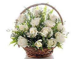 Two Dozen White Roses Basket