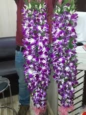 2 Garlands made of orchid flowers with beads on neck