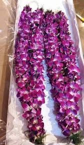 Two Wedding Mala wedding flower mala of Orchids