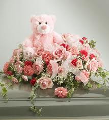 PINK Teddy, 2 dozen Pink roses in same basket