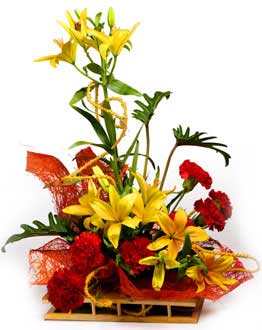 Red Carnation and Yellow Liliums