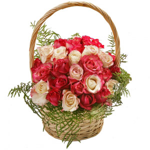 24 White and Pink Roses Basket