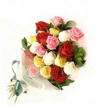 Two Dozen Assorted Color Roses