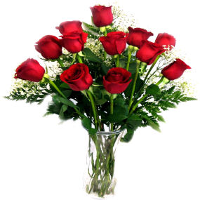 12 Red Roses in Vase