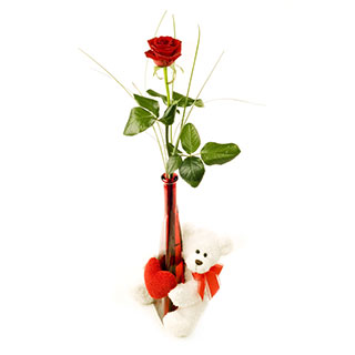 Single red rose �in a Vase with Teddy