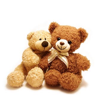 Two Teddy Bears (12 inches each)